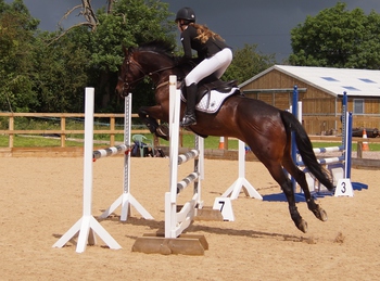 Abbie Daw Triumphs in Haygain Pony Discovery Second Round at Moores Farm Equestrian Centre